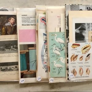 50 (100 if you count both sides)  VINTAGE & ANTIQUE BOOK  PAGE EPHEMERA …